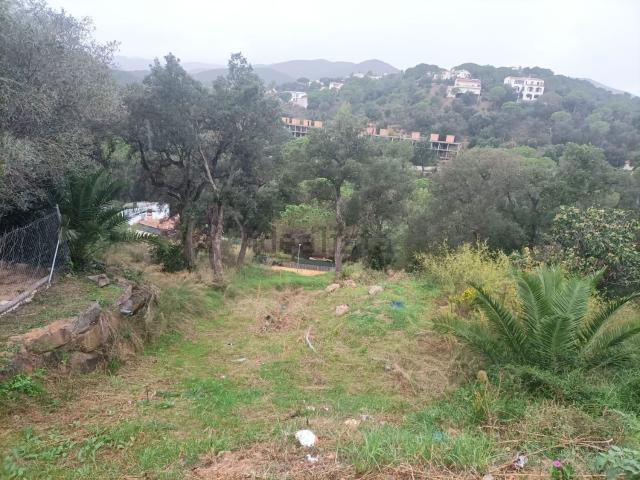 Terreno, Calonge