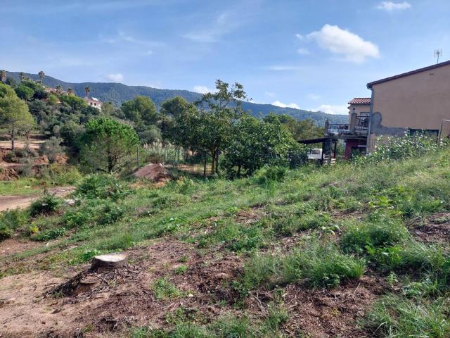Terreno, Calonge