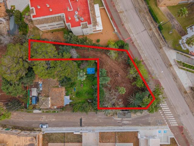 Terreno, Cala Millor