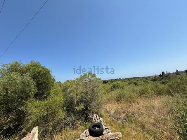 Terreno, Cala Millor