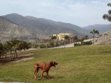 Terreno Calango CAÑETE