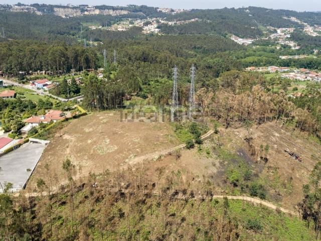 Terreno, Caldas de São Jorge