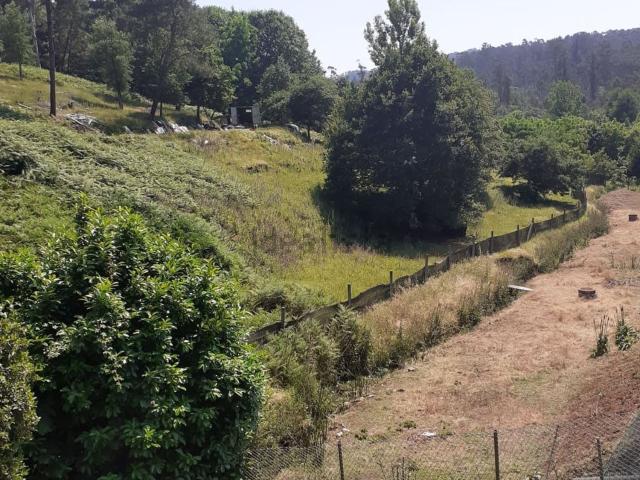 Terreno, Caldas de São Jorge