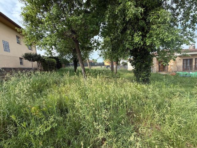 Terreno, Caldes de Malavella