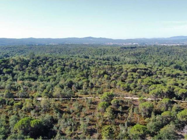 Terreno, Caldes de Malavella
