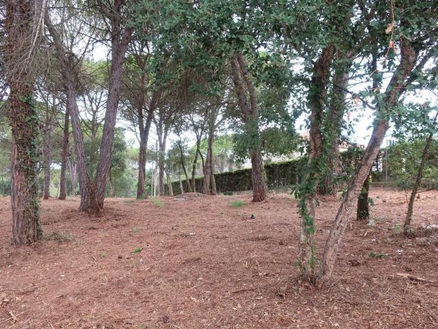 Terreno, Caldes de Malavella