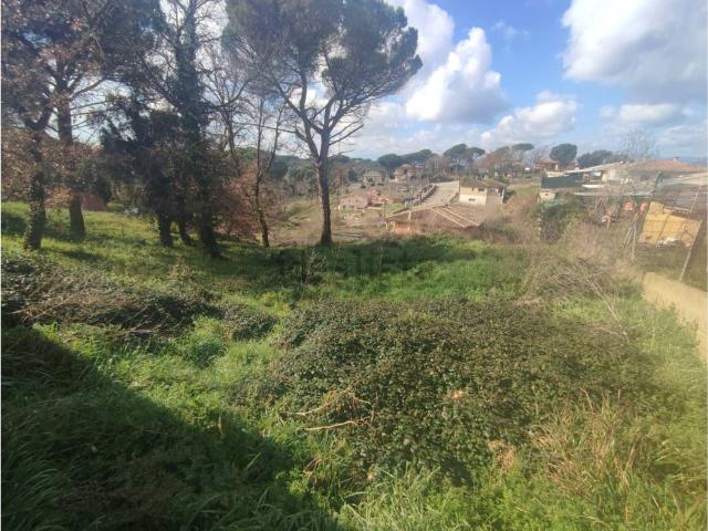 Terreno, Caldes de Malavella