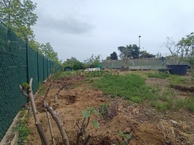Terreno, Caldes de Malavella