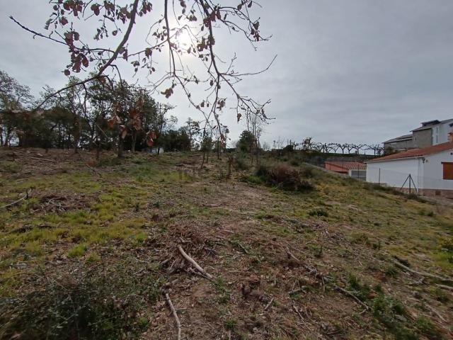 Terreno, Caldes de Malavella