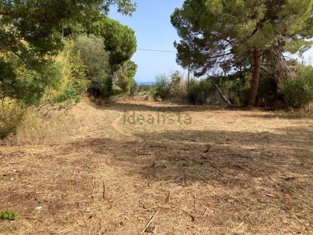 Terreno, Calella