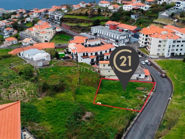Terreno Calheta