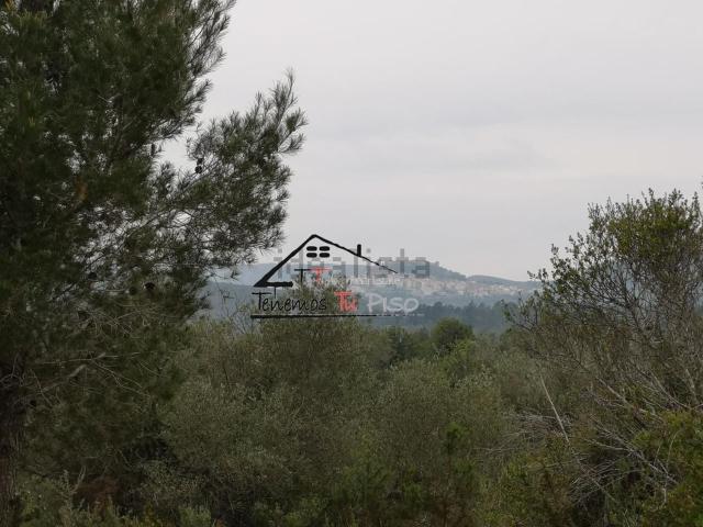 Terreno, Calig