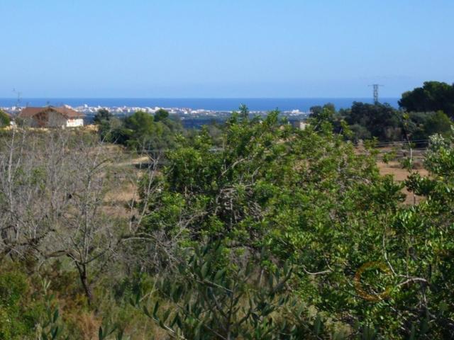 Terreno, Calig