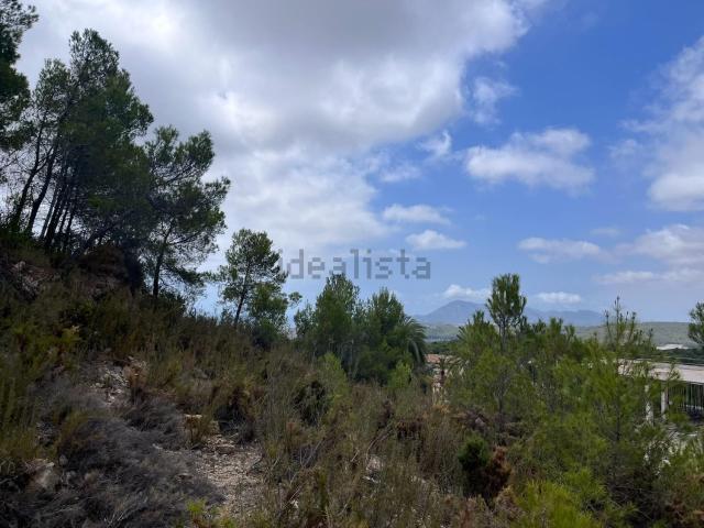 Terreno, Callosa d&apos En Sarria