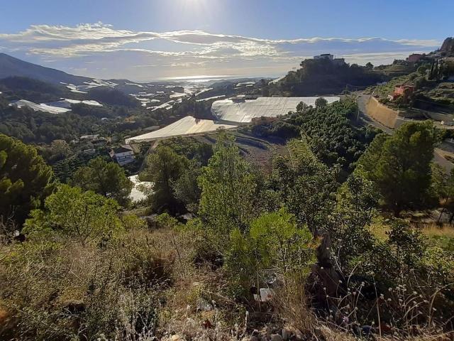Terreno, Callosa d&apos En Sarria