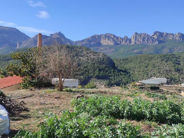 Terreno, Callosa d&apos En Sarria