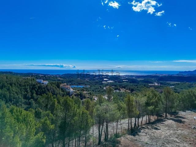 Terreno, Callosa d&apos En Sarria