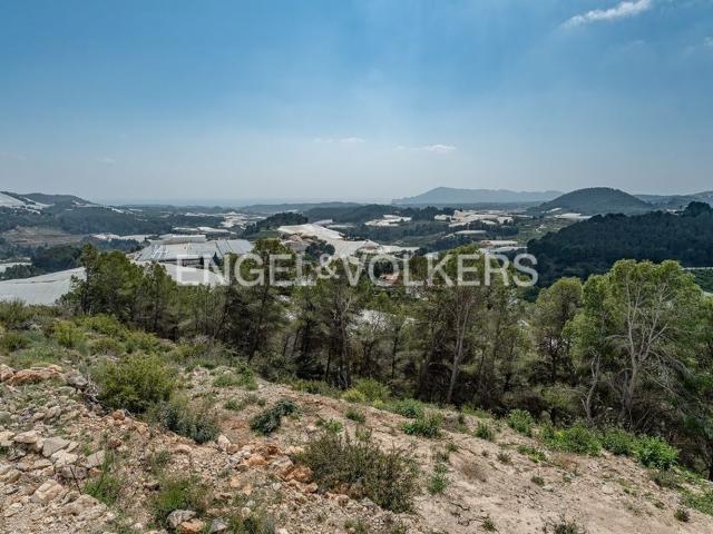 Terreno, Callosa d&apos En Sarria