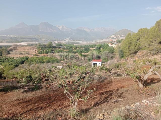 Terreno, Callosa d&apos En Sarria