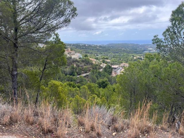 Terreno, Callosa d&apos En Sarria