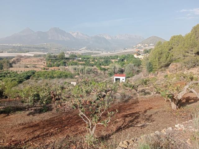 Terreno, Callosa d&apos En Sarria
