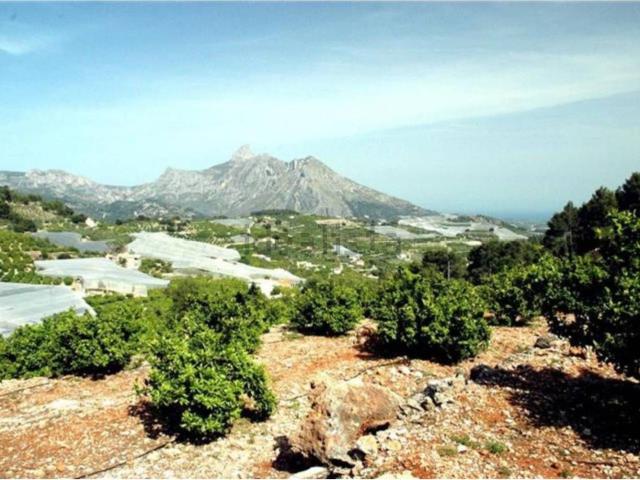 Terreno, Callosa d&apos En Sarria