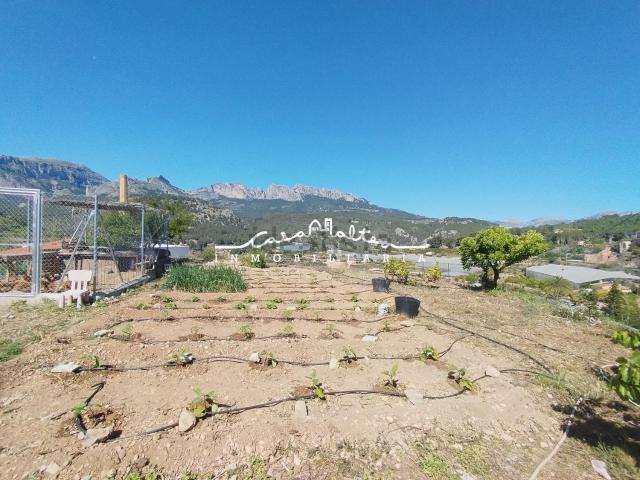 Terreno, Callosa d&apos En Sarria