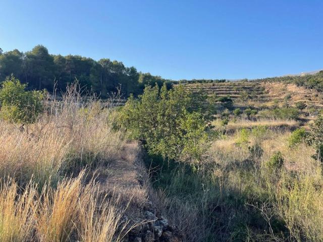 Terreno, Callosa d&apos En Sarria