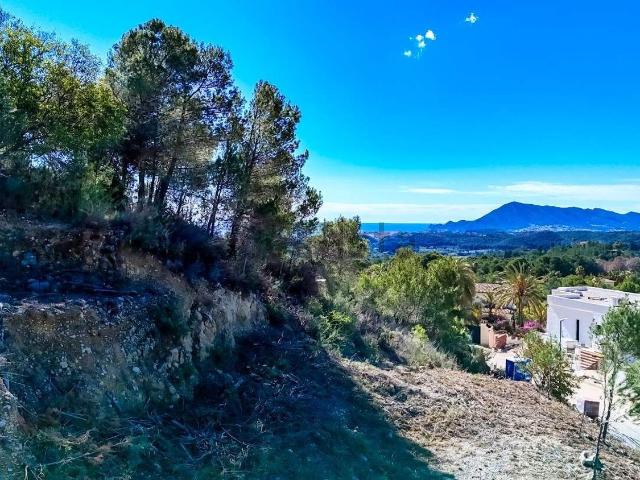 Terreno, Callosa d&apos En Sarria