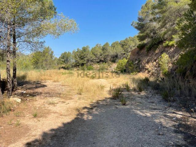 Terreno, Callosa d&apos En Sarria