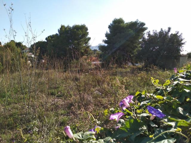Terreno, Calpe