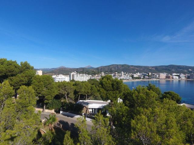 Terreno, Calvià