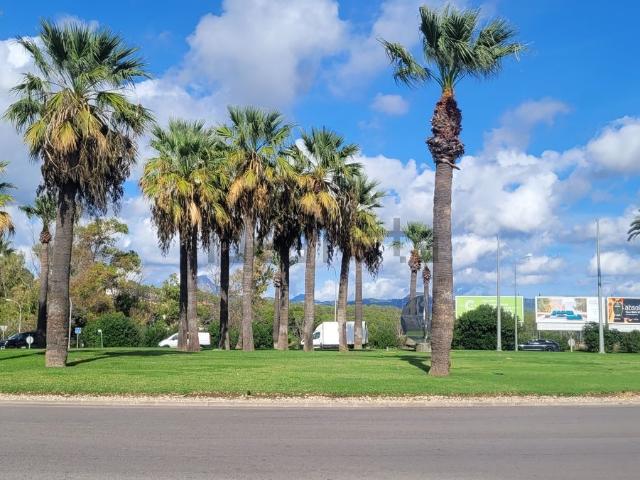 Terreno, Calvià