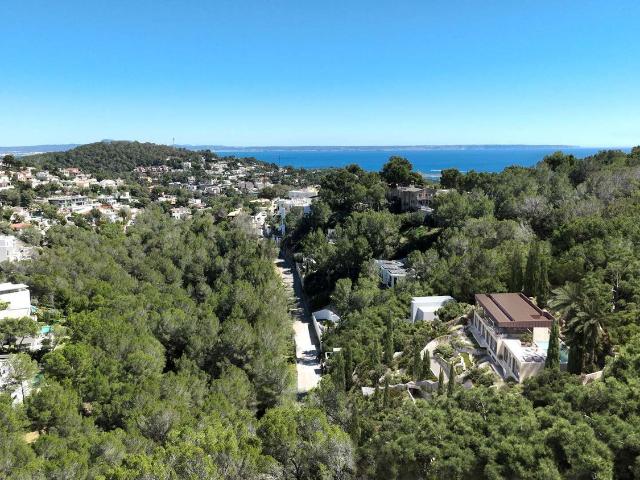Terreno, Calvià