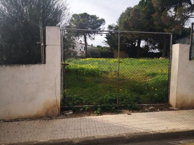 Terreno, Calvià
