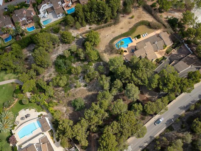 Terreno, Calvià