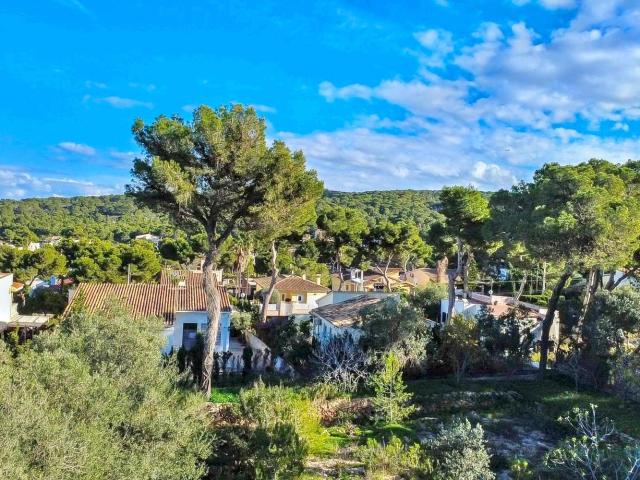 Terreno, Calvià