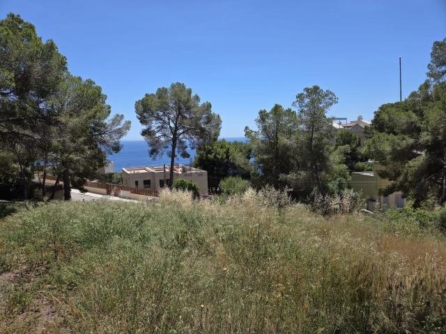 Terreno, Calvià