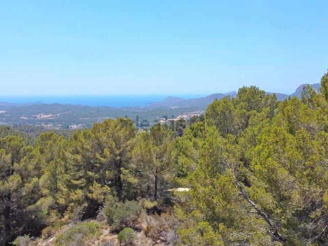 Terreno, Calvià