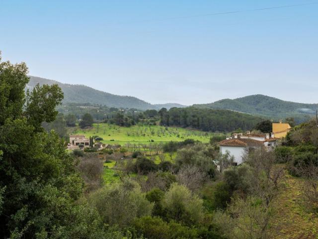 Terreno, Calvià