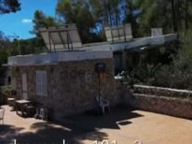 Terreno, Calvià