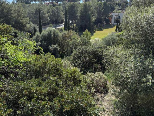 Terreno, Calvià