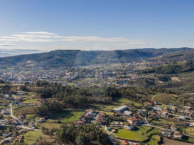 Terreno, Calvos e Frades