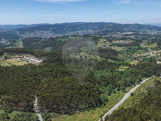 Terreno, Calvos e Frades