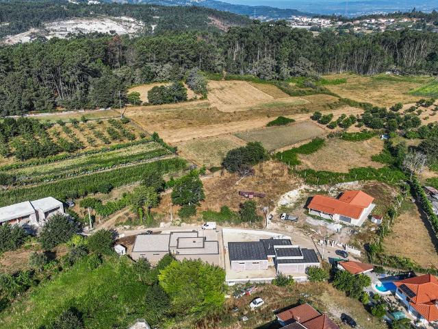 Terreno, Calvos e Frades