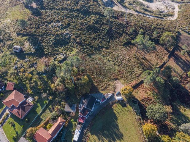 Terreno, Calvos e Frades