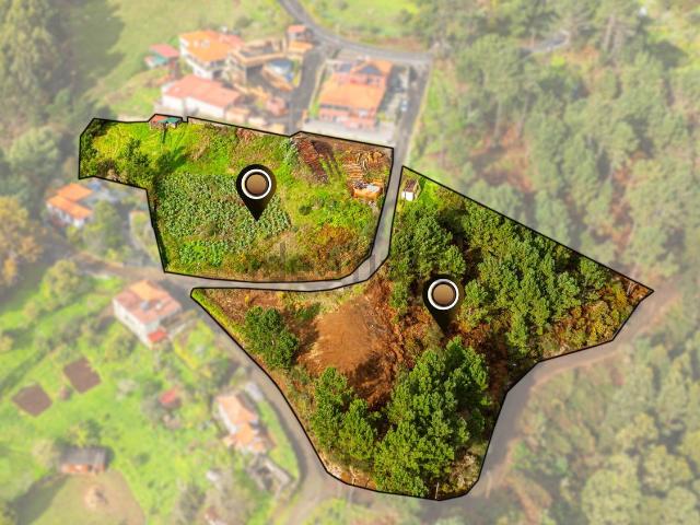 Terreno, Camacha