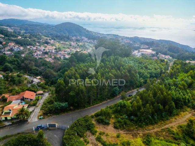Terreno, Camacha, Santa Cruz | BPI Expresso Imobiliário