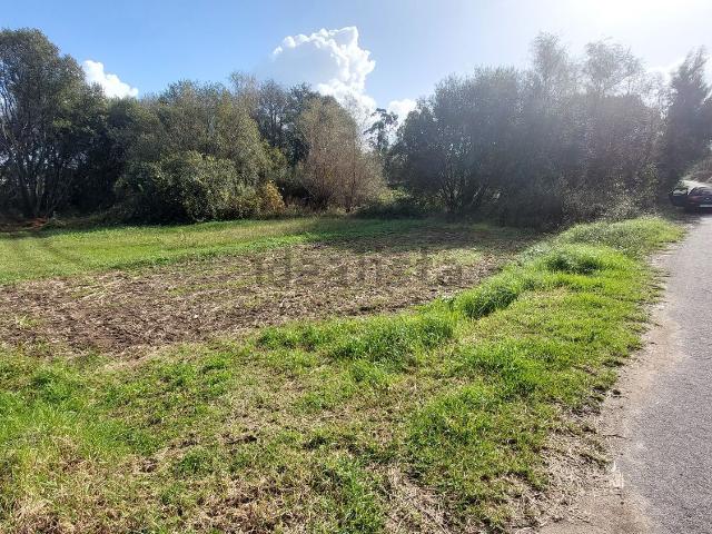 Terreno, Cambados