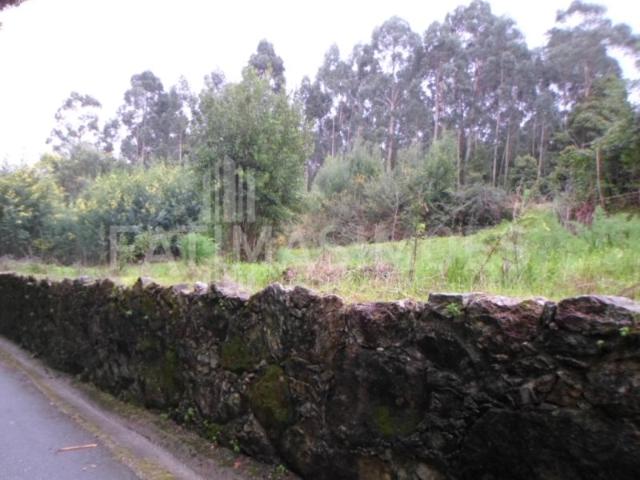 Terreno, Caminha Matriz e Vilarelho, Caminha | BPI Expresso Imobiliário